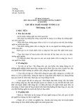 Kế hoạch bài dạy Hoạt động trải nghiệm, hướng nghiệp 9 - Chủ đề 8: Nghề nghiệp tương lai (Sách Cánh diều)