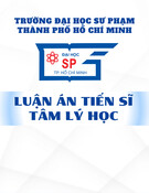 Luận án Tiến sĩ Tâm lý học: Sự hài lòng hôn nhân của người trưởng thành tại thành phố Hồ Chí Minh